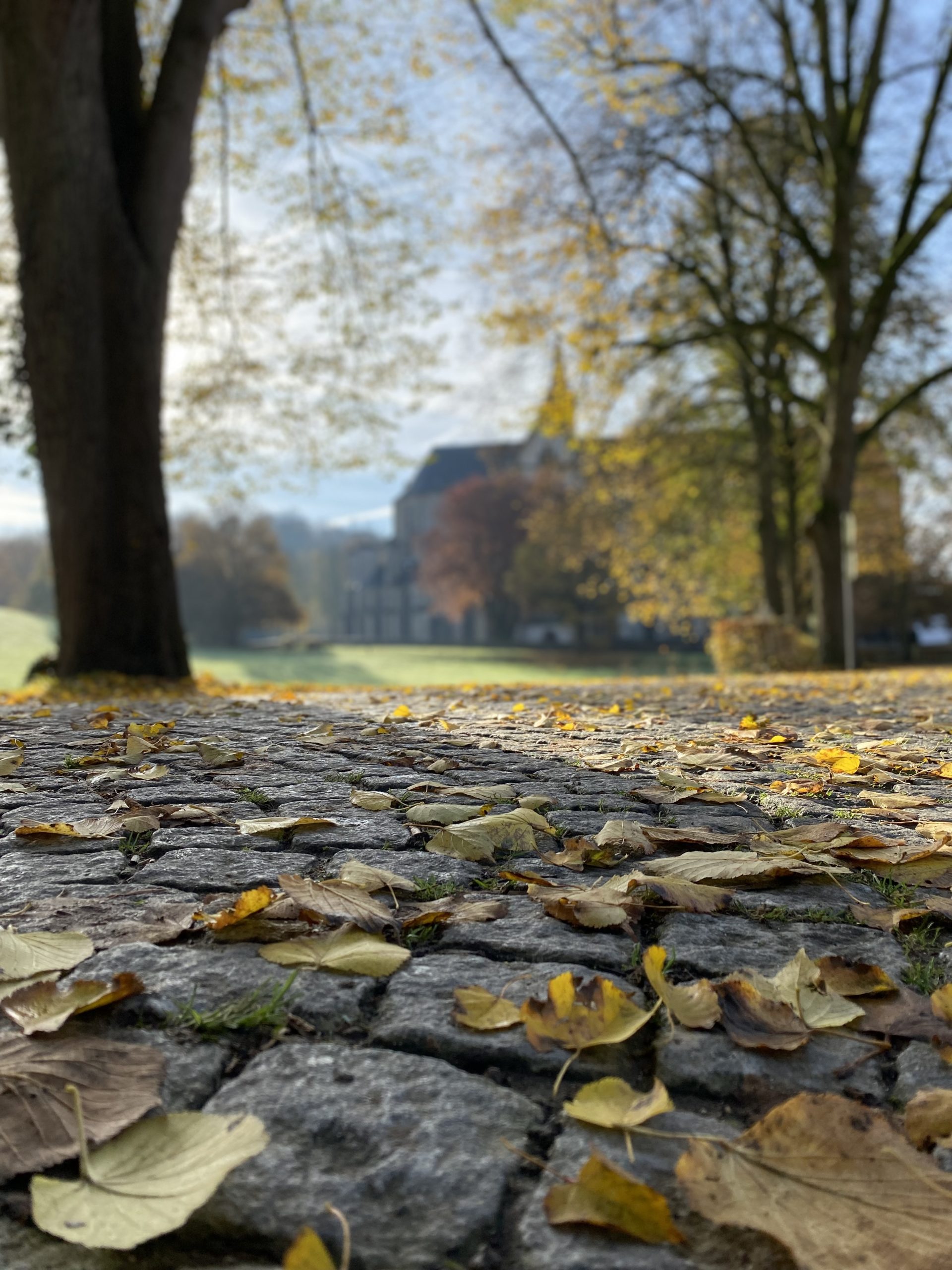 Herbststimmung in Altenberg